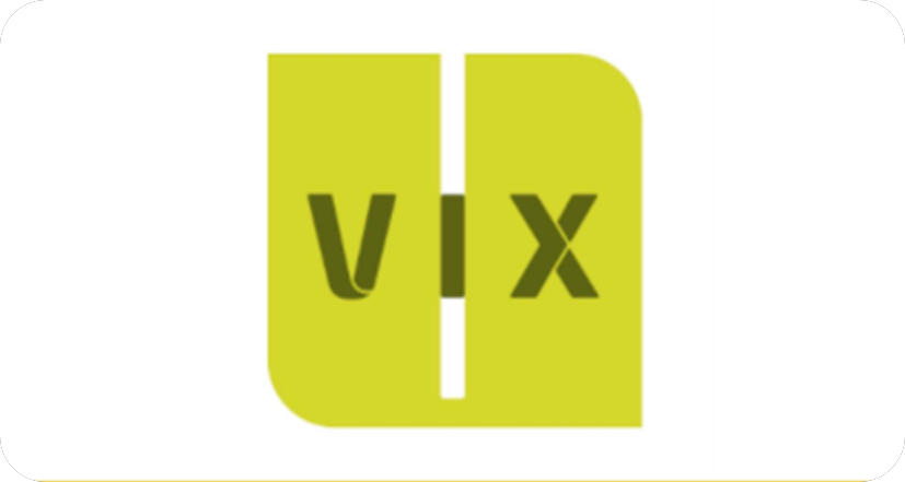 Logo VX